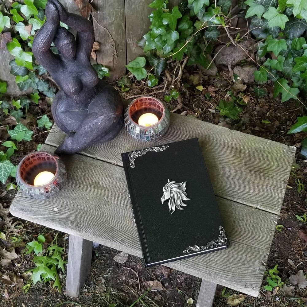 Book of Shadows and Leo - Medium